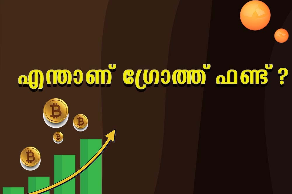 എന്താണ് ഗ്രോത്ത് ഫണ്ട്?